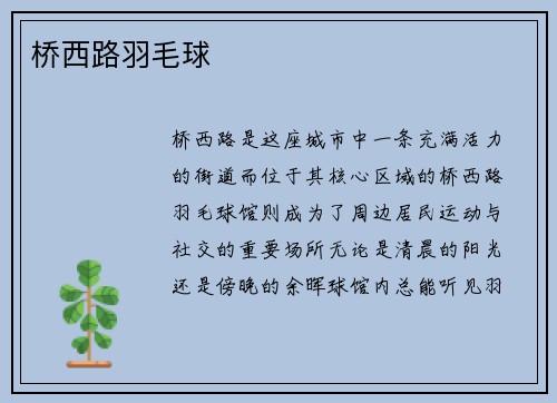 桥西路羽毛球